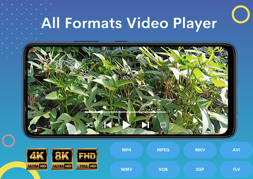 Multimedia Player